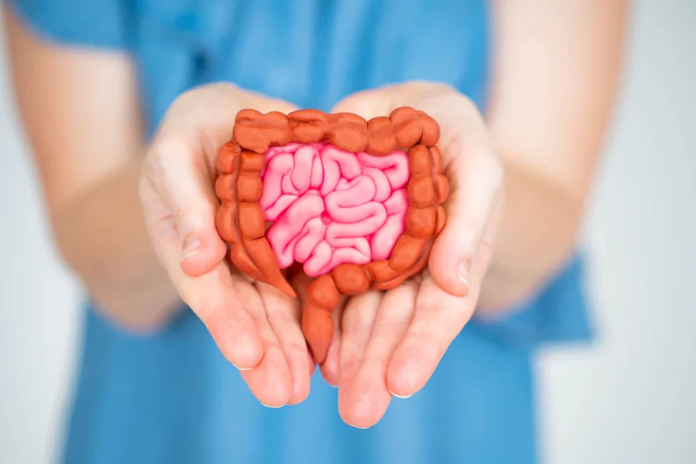 How to Improve Gut Health: 5 Simple Solutions
