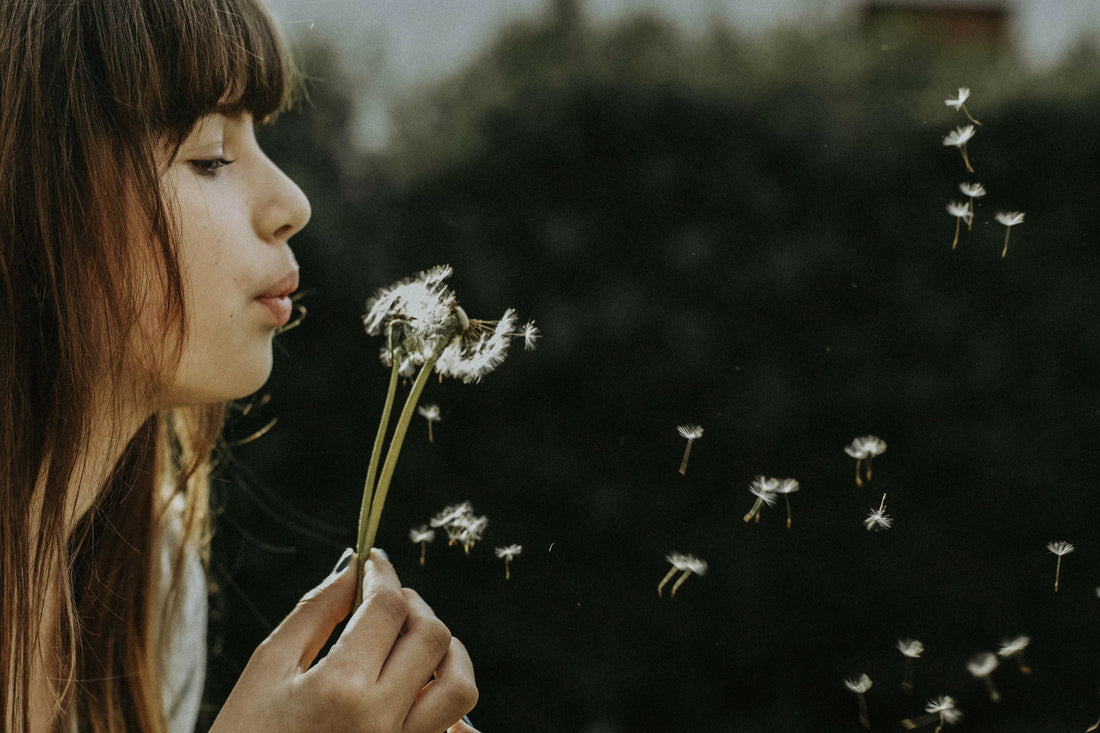 What is Holistic Wellness?