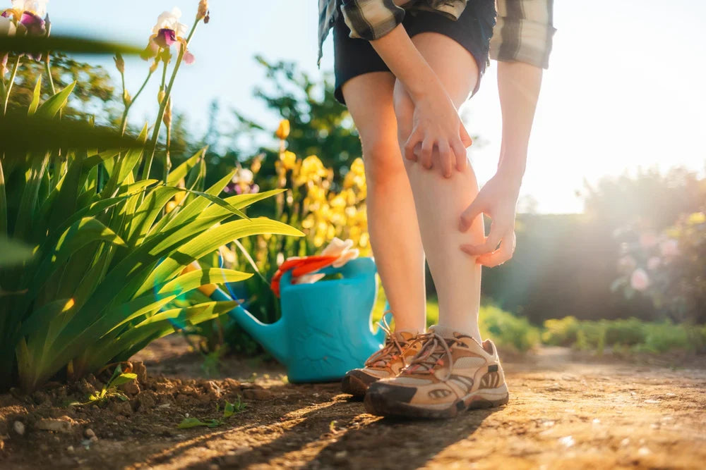 Common Skin Rashes in Summer & How to Treat Them